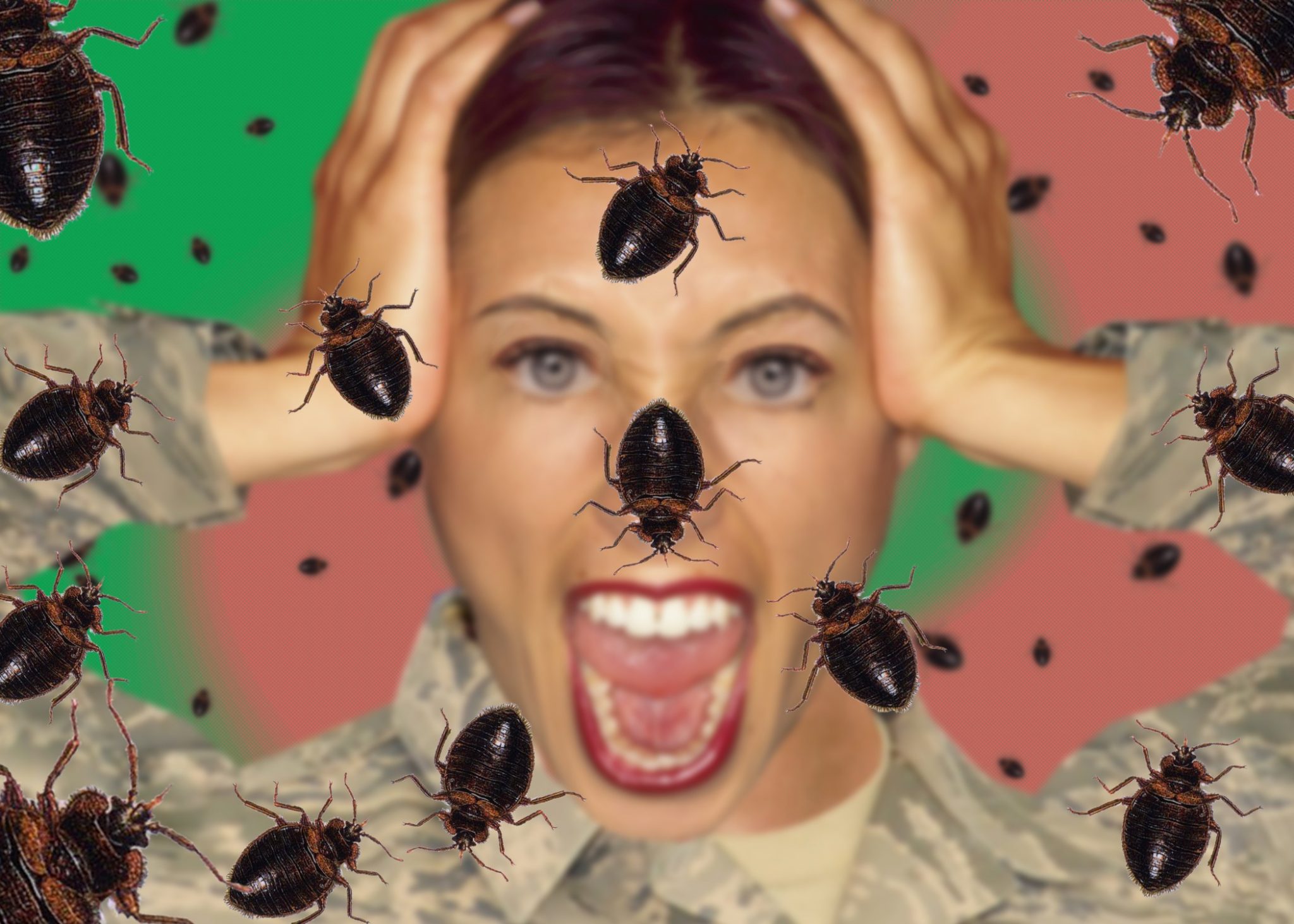 how-do-bed-bugs-spread-treatment-rash-faq-can-from-to-edited