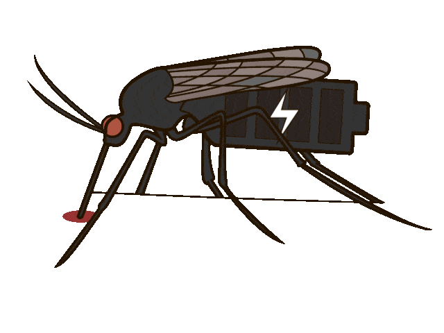 Tiger Mosquito